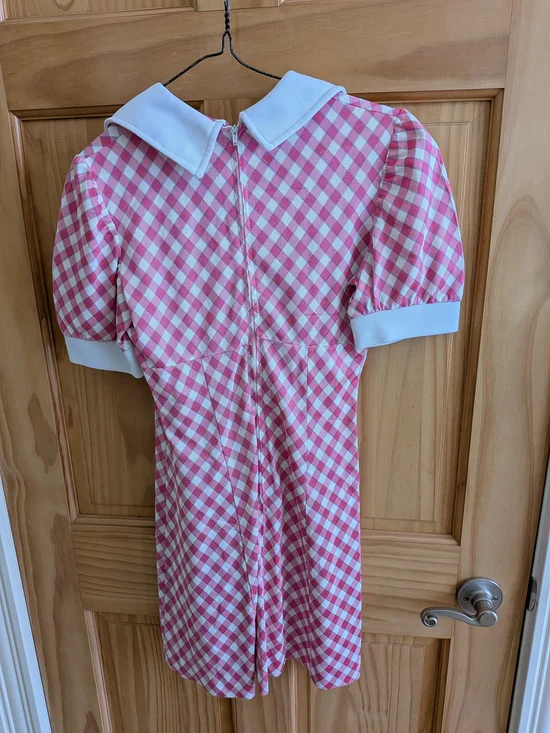 Vintage-Inspired Pink Gingham A-Line Dress with White Trim - Picture 2 of 3